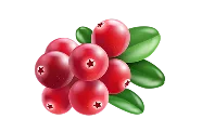 分类 - c7c7.appyiyubao